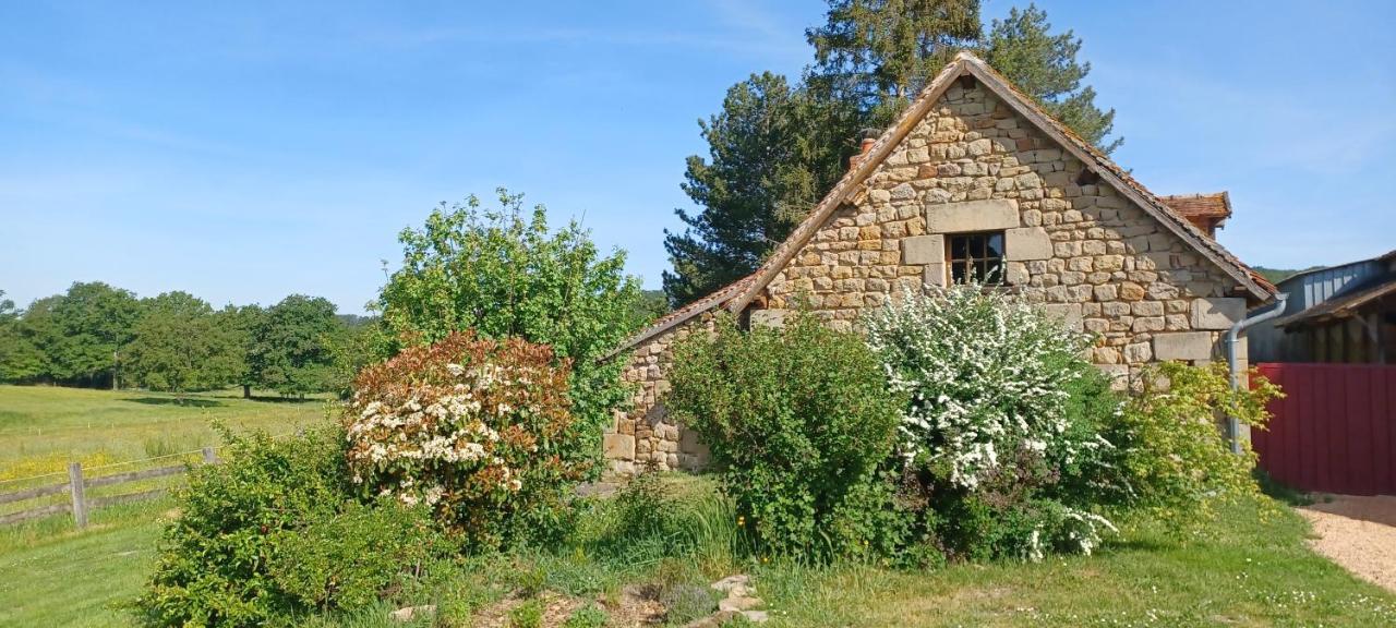 فيلا Domaine De Reniere Buxières-les-Mines المظهر الخارجي الصورة